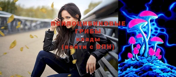 прущий лед Нея